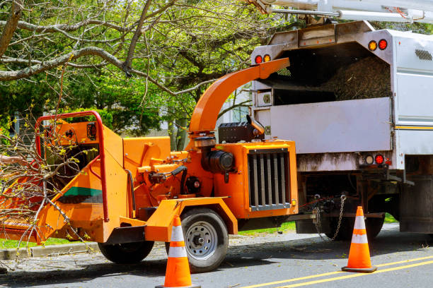 Best Tree and Shrub Care  in Tea, SD